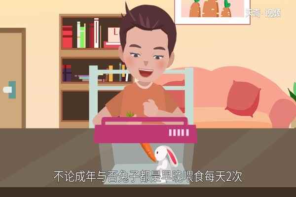 兔子吃什么(人工饲养幼兔时要注意食物的提供)