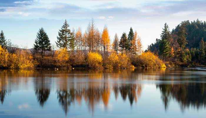 秋声赋翻译及赏析(《秋声赋》注释)