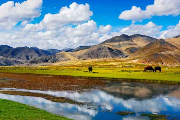 赦勒歌带拼音版  敕勒歌古诗欣赏