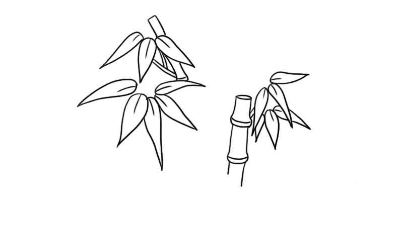 竹子简笔画(竹叶画出一节小竹子和竹叶)