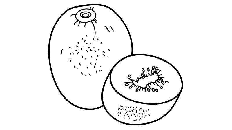 猕猴桃简笔画(猕猴桃轮廓的制作方法有哪些)