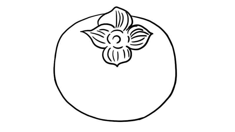 柿子简笔画(柿子的轮廓是什么意思)