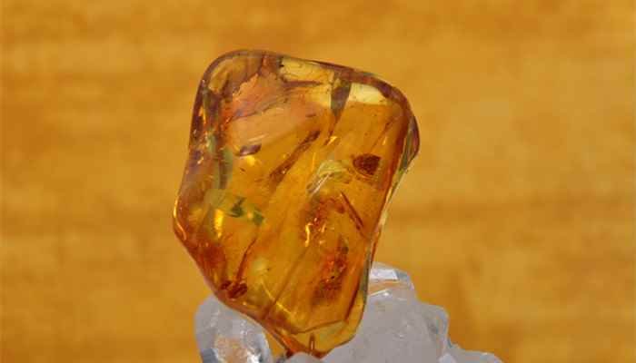 蜜蜡和琥珀的区别 蜜蜡和琥珀的区别在哪里