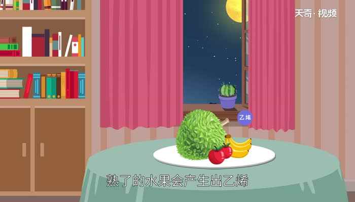 榴莲没熟打开后怎么办(榴莲打开后发现没熟怎么办)