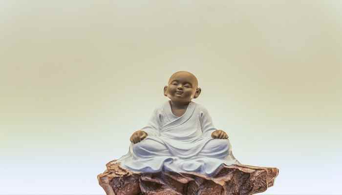 身是菩提树心如明镜台时时勤拂拭莫使惹尘埃是什么意思 身是菩提树的意思