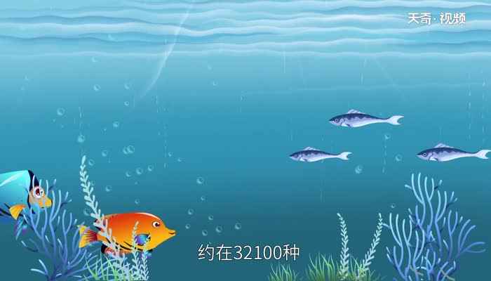 鱼的记忆力是多长时间(鱼的记忆力有多长时间)