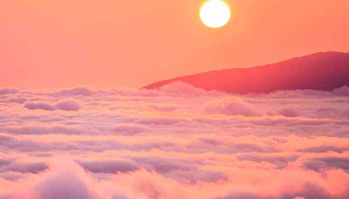 日加木是什么字一年级(日加木是什么意思)