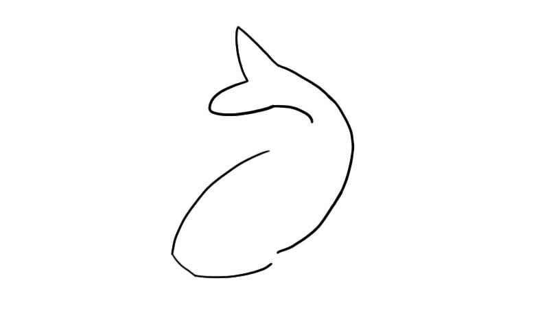 锦鲤简笔画(锦鲤简笔画古风)