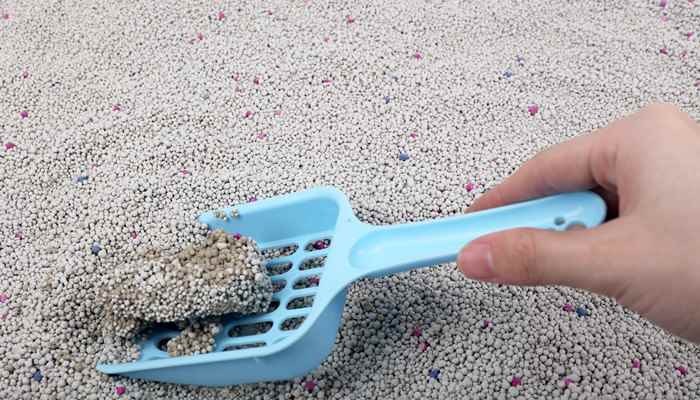 膨润土是干什么用的 膨润土干嘛用的