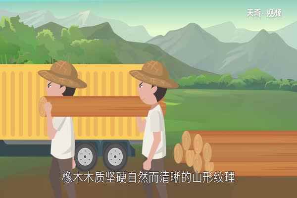 橡木家具的优缺点(橡木家具是以橡木为材质做成的家具)