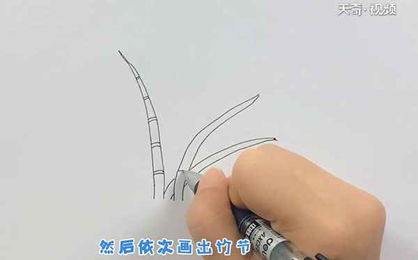 竹子的简笔画(竹子的简笔画简单又漂亮)
