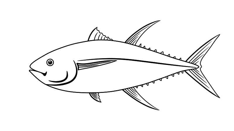 鱼简笔画(画出鱼的眼睛和身体的外形)