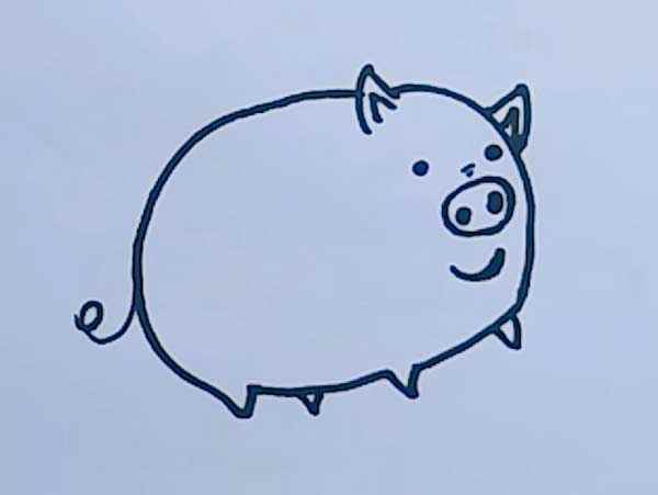 小猪的简笔画(画出小猪的尾巴和五官就可以上色啦)