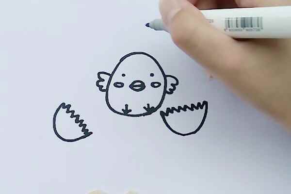 小鸡简笔画(画小鸡的身体轮廓有哪些)