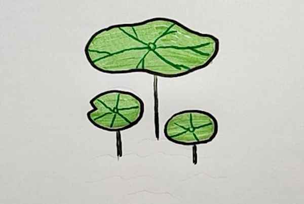 荷叶怎么画漂亮又简单(先用铅笔勾勒出荷叶的形状)