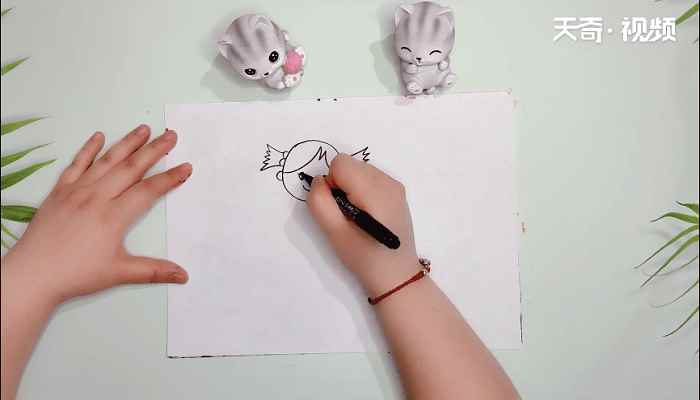 线条画图片大全幼儿简笔画(画出她的头发、眼睛、鼻子。)