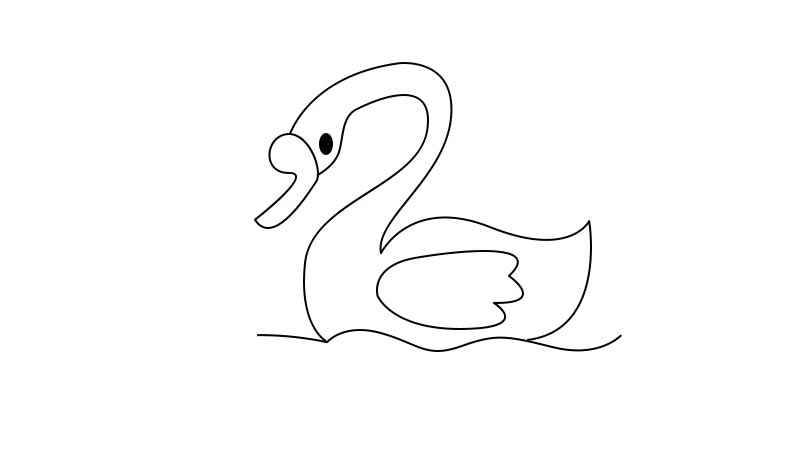 天鹅简笔画教程(天鹅的身体线条有哪些)