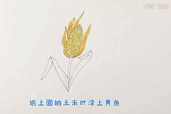 玉米简笔画(先画一颗瓜子样的玉米棒)