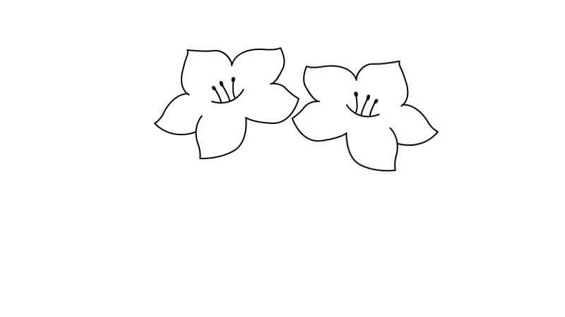 杜鹃花简笔画教程(杜鹃花涂上颜色就可以了)