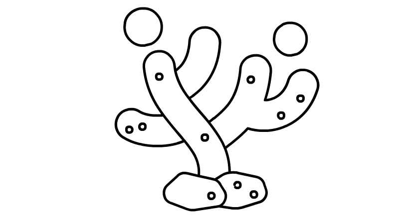 珊瑚简笔画画法(珊瑚涂上颜色就可以了!)