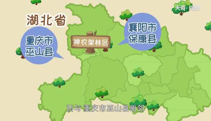 鄂p是哪里的车牌号 鄂P代表那个城市的车牌号