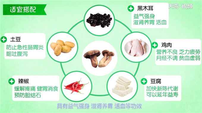 红蘑的功效与作用(红蘑适合与哪些食物进行搭配)