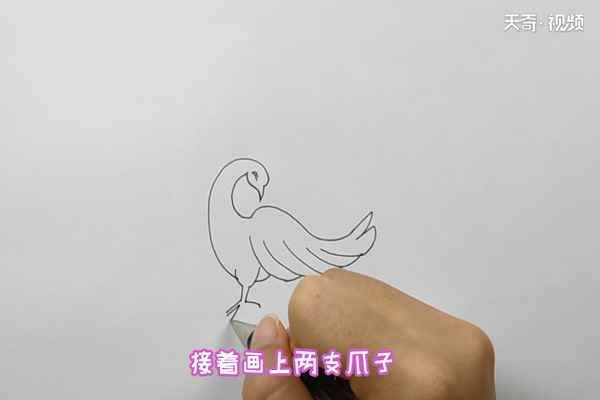 凤凰简笔画(凤凰简笔画简单又漂亮)