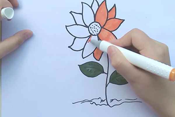 小雏菊简笔画(棕色涂满花心的制作方法)