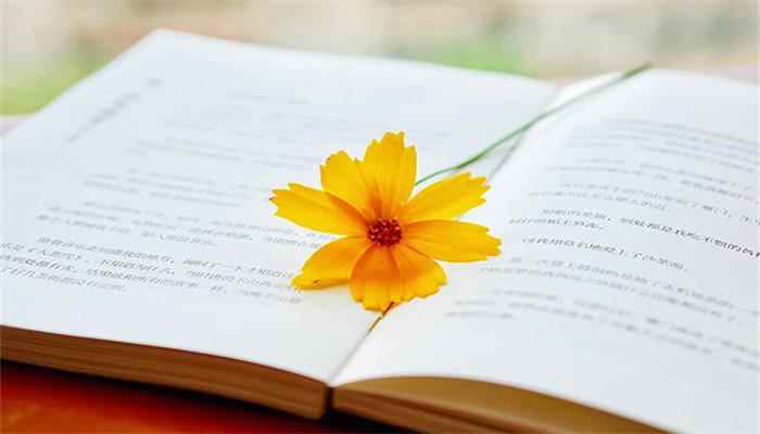 《朝花夕拾》赏析