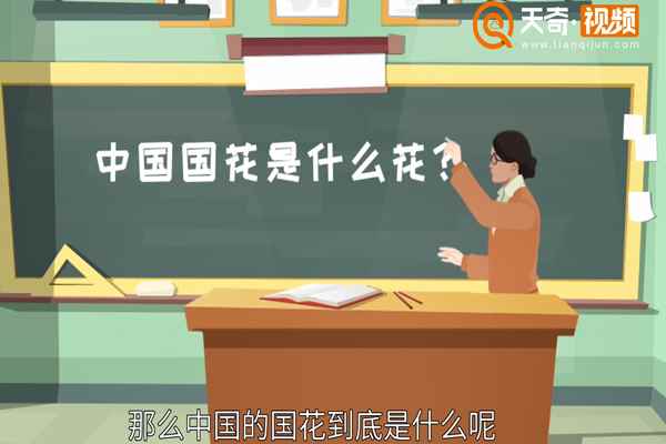 中国国花是什么花(中国的国花是什么牡丹花象征着国家繁荣富强)