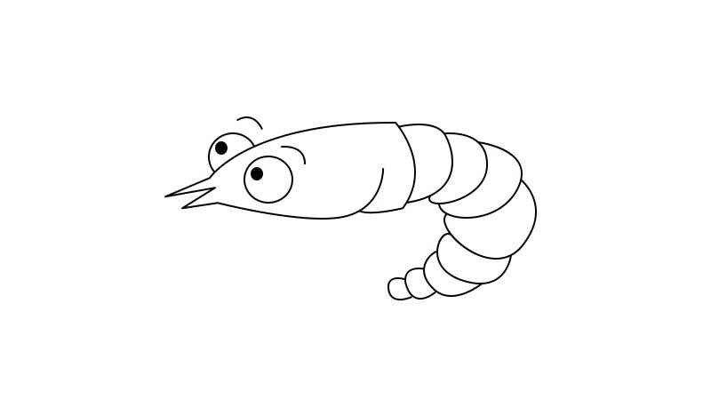 虾简笔画画法(画虾的身体线条有哪些)