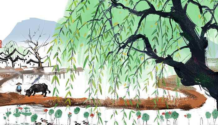 幼儿园唐诗必背30首(诗人抓住春天的早晨刚醒来时的一瞬间展开联想)