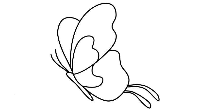 蝴蝶简笔画(画出蝴蝶的翅膀和翅膀上的图案)