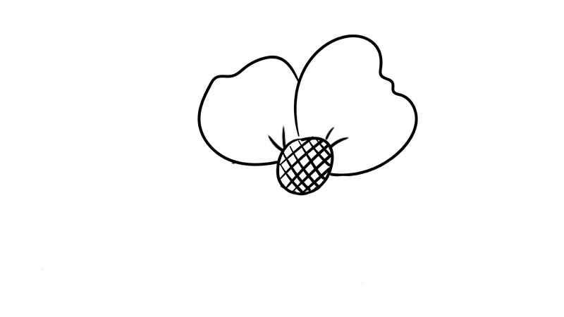花简笔画(花的花蕊和两片花瓣的区别)