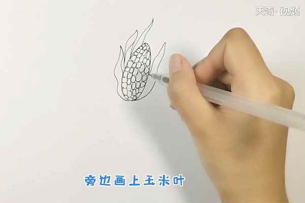玉米简笔画(先画一颗瓜子样的玉米棒)