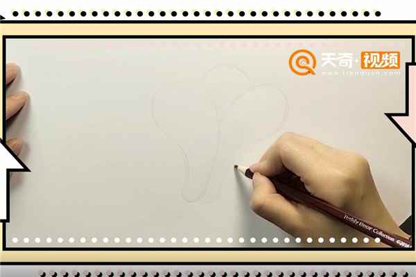 小白菜简笔画(小白菜的形状)