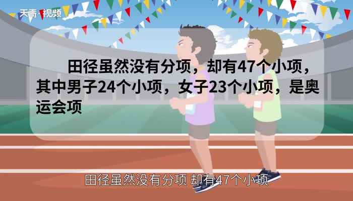 奥运会项目(2008北京奥运会比赛项目分为大项、分项、小项)