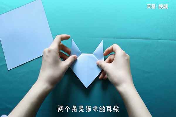 猫怎么折
