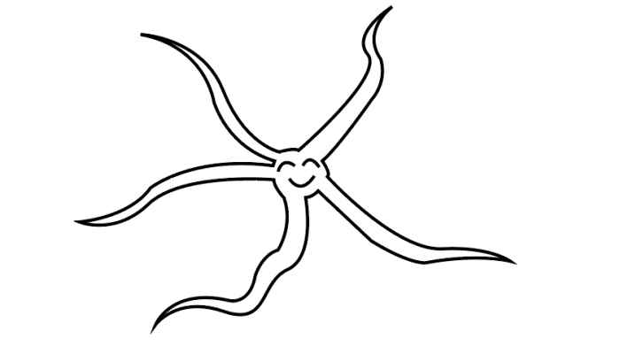 蛇海星简笔画(元素涂上相应的颜色)