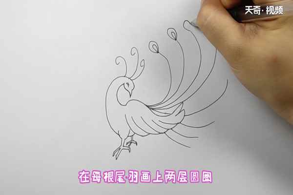 凤凰简笔画(凤凰简笔画简单又漂亮)