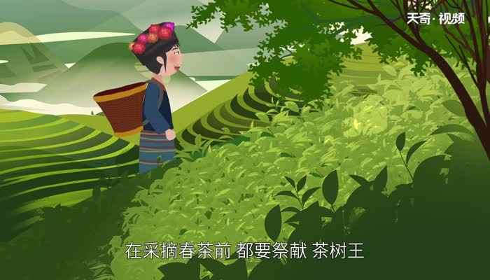 布朗族的风俗(布朗族“漆齿”成年礼仪式)