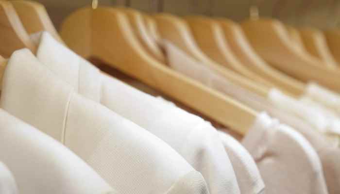 sezane是什么牌子(法国女人崇尚的浪漫随意美)