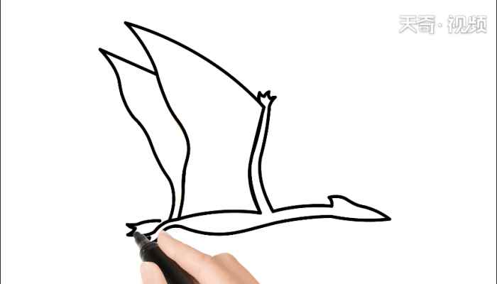 风神翼龙简笔画(画翼龙的手和身体有什么区别)