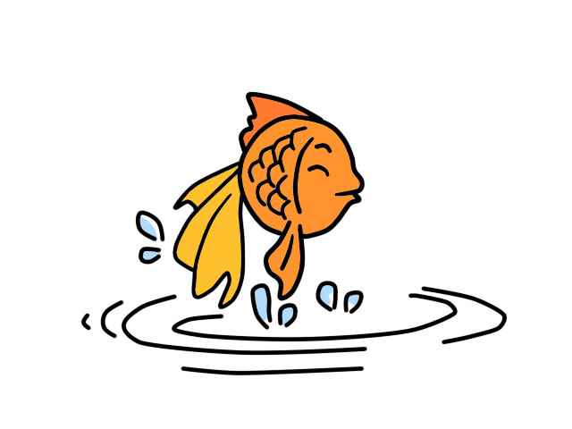 金鱼简笔画(画出金鱼的头是什么意思)