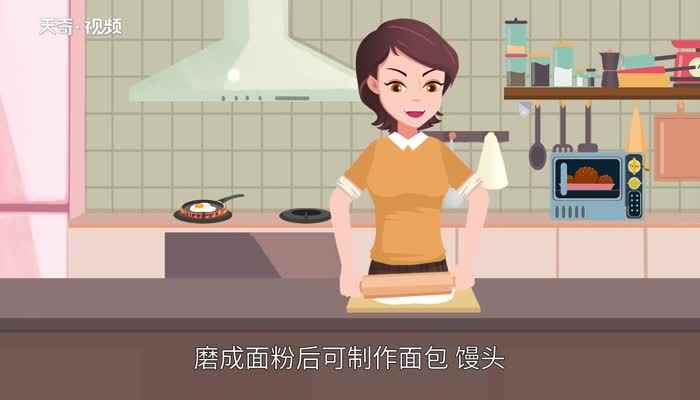 麦米是什么米(小麦和小麦有什么区别)