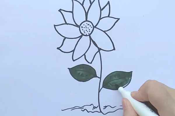 小雏菊简笔画(棕色涂满花心的制作方法)