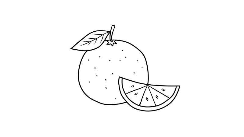 橙子的简笔画法(画橙子的叶子和枝条怎么画)