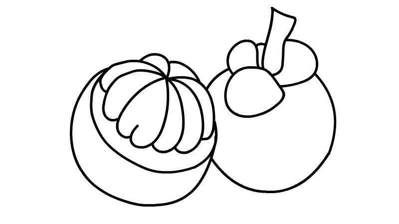 山竹简笔画(山竹露出的果肉怎么画)