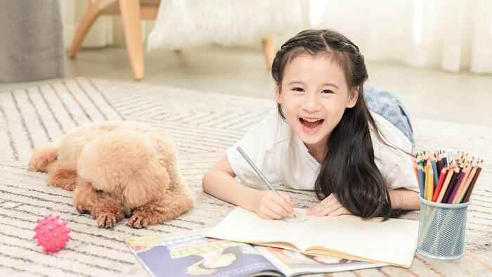 一什么翅膀填量词一个(诗词中的量词是否可数分为两种情形)