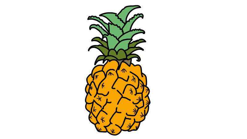 菠萝简笔画(如何画出菠萝表面的线条)